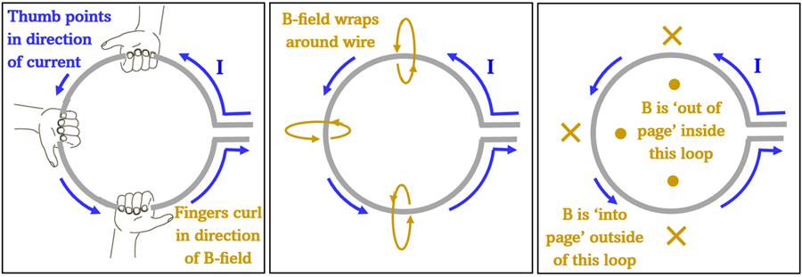 A diagram showing how the right hand rule can show the magnetic field direction in a loop of wire.  Each box has a loop of wire with a counter clockwise flow of current.  The first show three right-hands on the coil, the second box shows the magnetic field direction based on those right hands, the third shows that inside the loop the magnetic field points towards the viewer out of the page (represented by dots), and outside the loop the fields point away from the viewer (represented by x)