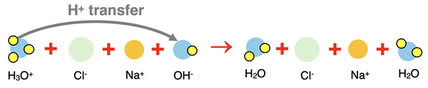 Neutralization Reactions in Chemistry | Molecular & Net Ionic Equations ...