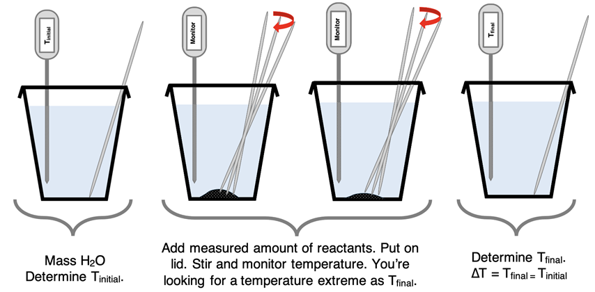 A visual guide to how to conduct a coffee cup calorimeter experiment.