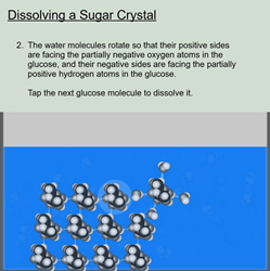 Dissolving Sugar Simulation Screenshot