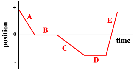 Position Time Graphs - Conceptual Analysis Questions
